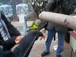神戸市中央区・ポートアイランド 神戸花鳥園 こんぱまる 神戸店 オキナインコ