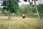 タンザニア・タランギーレ国立公園近くのキャンプサイト