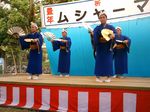 八重山 波照間 ムシャーマ ブドリ