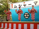 八重山 波照間 ムシャーマ ブドリ