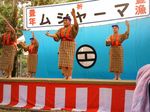 八重山 波照間 ムシャーマ ブドリ