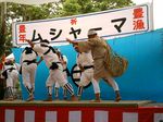 八重山 波照間 ムシャーマ ブドリ