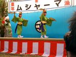 八重山 波照間 ムシャーマ ブドリ