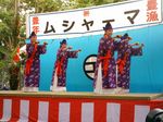 八重山 波照間 ムシャーマ ブドリ