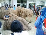 八重山 波照間 ムシャーマ ミチサネ