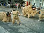 八重山 波照間 ムシャーマ ミチサネ