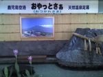 鹿児島空港 鹿児島 温泉 足湯 空港