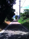 八重山旅行記・2006年8月 石続・波照間・西表・鳩間・小浜・竹富 鳩間の桟橋へと向かう道